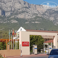 фото из отзыва ID 1872506