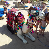 фото из отзыва ID 1872497