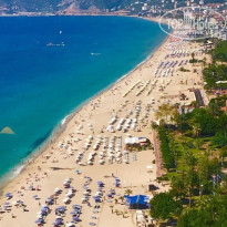 фото из отзыва ID 1872802