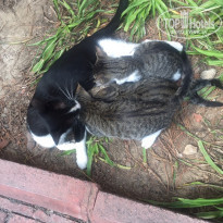 фото из отзыва ID 1872855