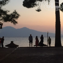 фото из отзыва ID 1872855