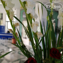 фото из отзыва ID 1872909