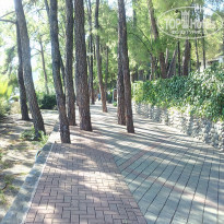 фото из отзыва ID 1873206