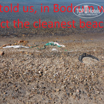 фото из отзыва ID 1873250