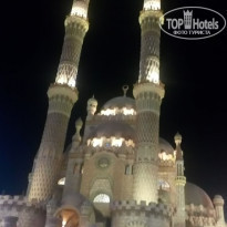 фото из отзыва ID 1873318