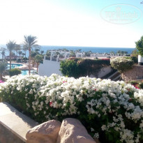 фото из отзыва ID 1873318