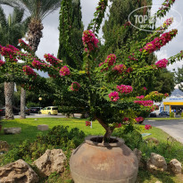 фото из отзыва ID 1873384