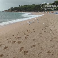 фото из отзыва ID 1873337