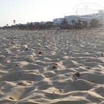 фото из отзыва ID 1873426