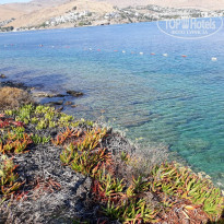 фото из отзыва ID 1873254