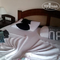 фото из отзыва ID 1873585