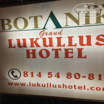 фото из отзыва ID 1873636