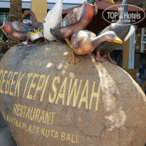 фото из отзыва ID 1873702