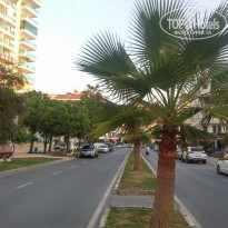 фото из отзыва ID 1873712