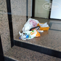 фото из отзыва ID 1873884