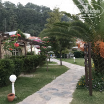 фото из отзыва ID 1873965