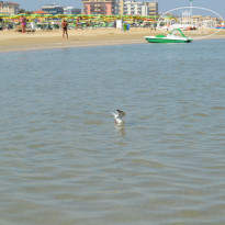 фото из отзыва ID 1873990