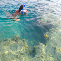 фото из отзыва ID 1874060