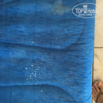 фото из отзыва ID 1874082