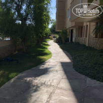 фото из отзыва ID 1874129