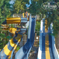 фото из отзыва ID 1874134