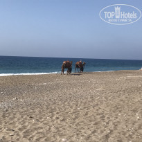 фото из отзыва ID 1874347