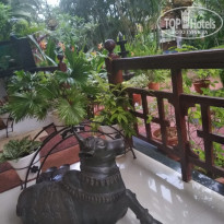 фото из отзыва ID 1874401