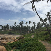 фото из отзыва ID 1874401