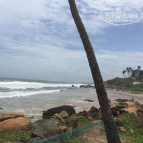 фото из отзыва ID 1874401