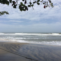 фото из отзыва ID 1874401