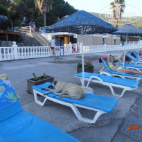 фото из отзыва ID 1874427