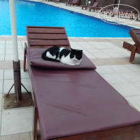 фото из отзыва ID 1870073