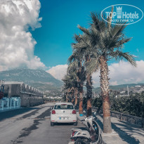 фото из отзыва ID 1874669