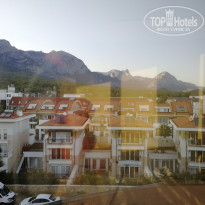 фото из отзыва ID 1874751