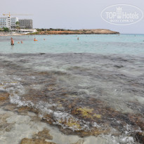 фото из отзыва ID 1874760