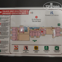 фото из отзыва ID 1875074