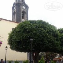 фото из отзыва ID 1875292