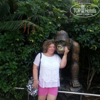 фото из отзыва ID 1875292