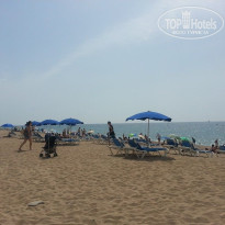 фото из отзыва ID 1875304