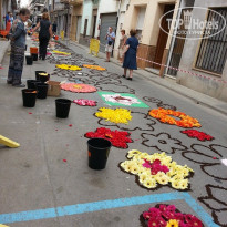 фото из отзыва ID 1875304