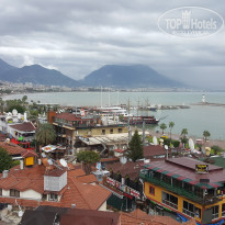 фото из отзыва ID 1875329