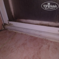 фото из отзыва ID 1875369