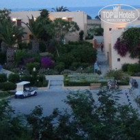 фото из отзыва ID 1875383