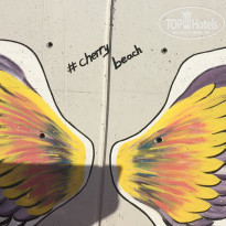 фото из отзыва ID 1875387