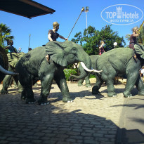 фото из отзыва ID 1875431