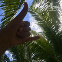 фото из отзыва ID 1875608