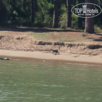 фото из отзыва ID 1875831