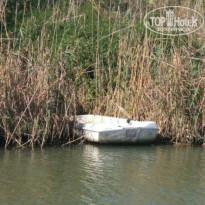 фото из отзыва ID 1875831