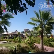 фото из отзыва ID 1875718