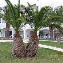 фото из отзыва ID 1875877